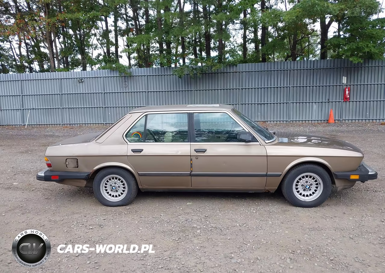 1986 BMW 528 E Automatic VIN:WBADK8307G9705323 - 13