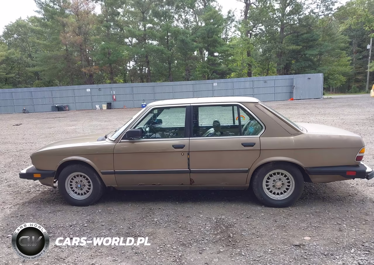 1986 BMW 528 E Automatic VIN:WBADK8307G9705323 - 14