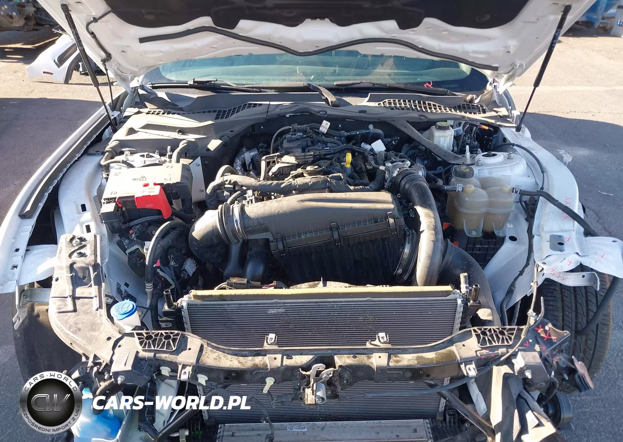 2024 Ford Mustang Ecoboost Premium VIN:1FAGP8UH0R5129631 - 10