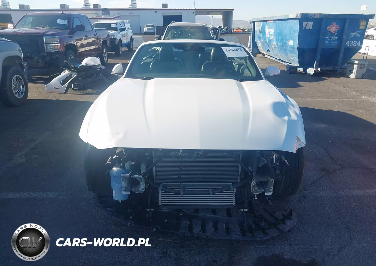 2024 Ford Mustang Ecoboost Premium VIN:1FAGP8UH0R5129631 - 6