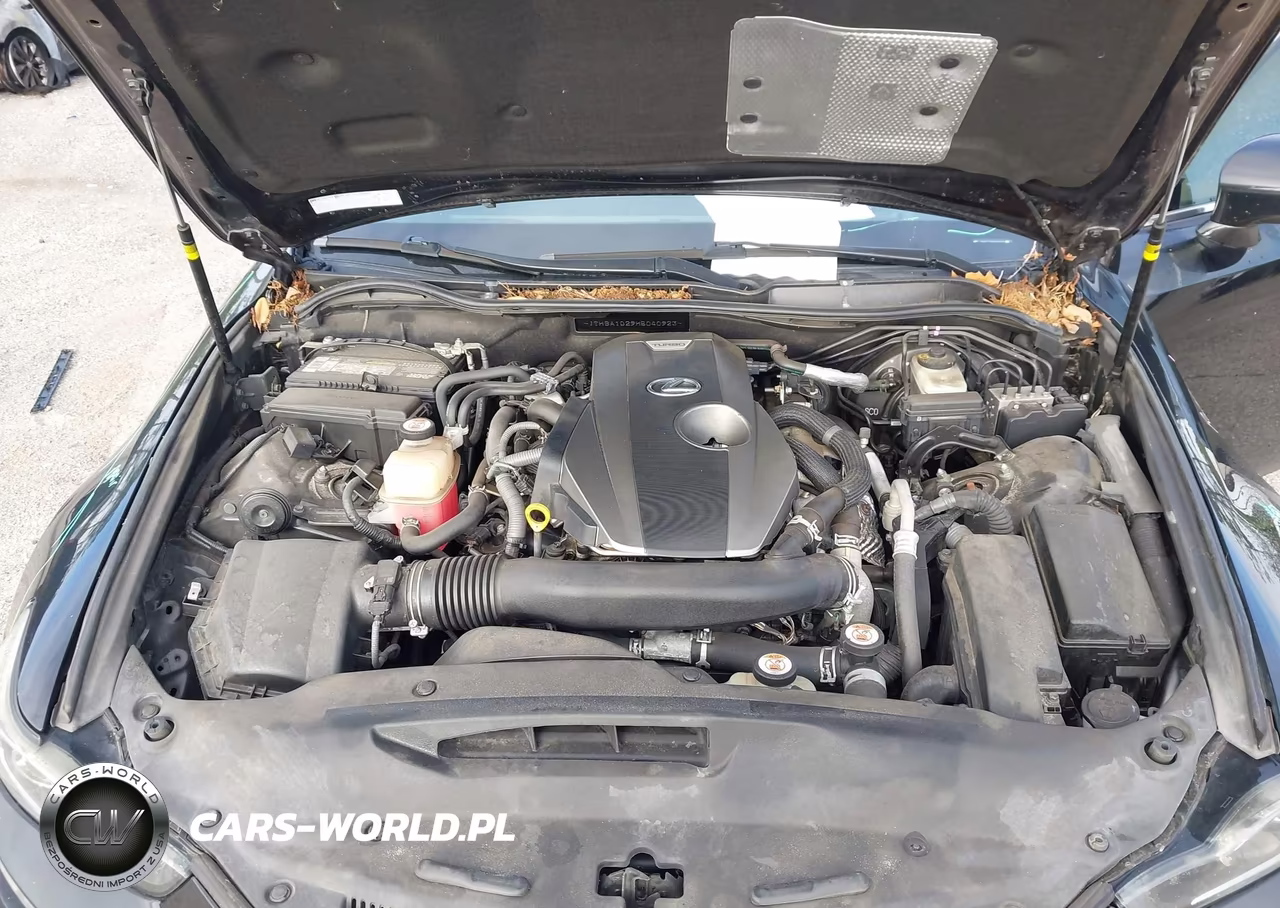 2017 Lexus Is 200T VIN:JTHBA1D29H5040923 - 10