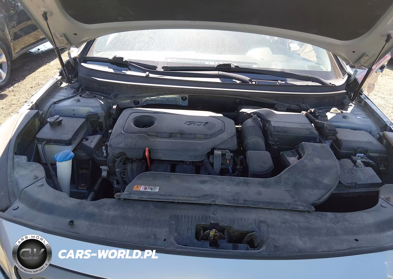 2016 Hyundai Sonata Sport VIN:5NPE34AF8GH422182 - 10