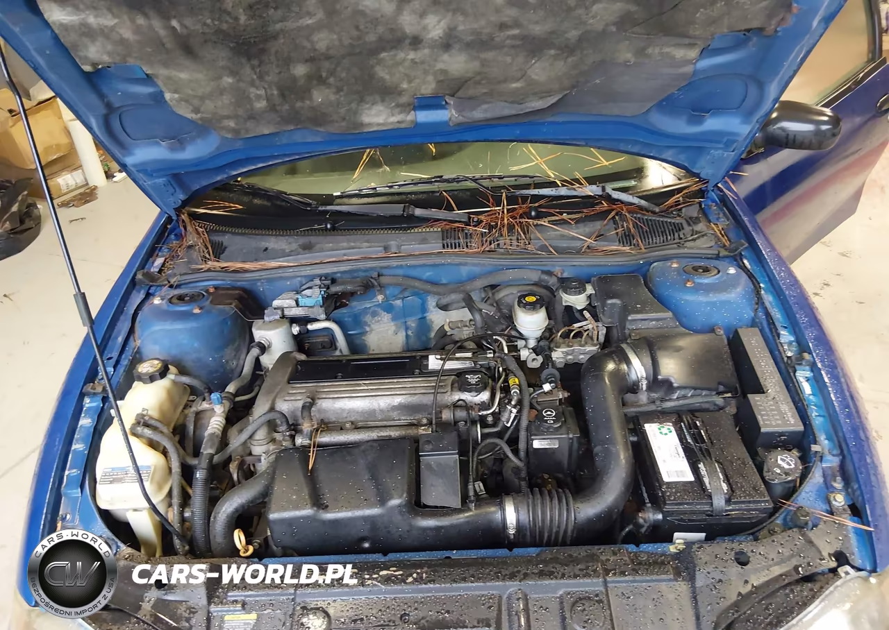 2003 Chevrolet Cavalier VIN:1G1JC12F137152814 - 10