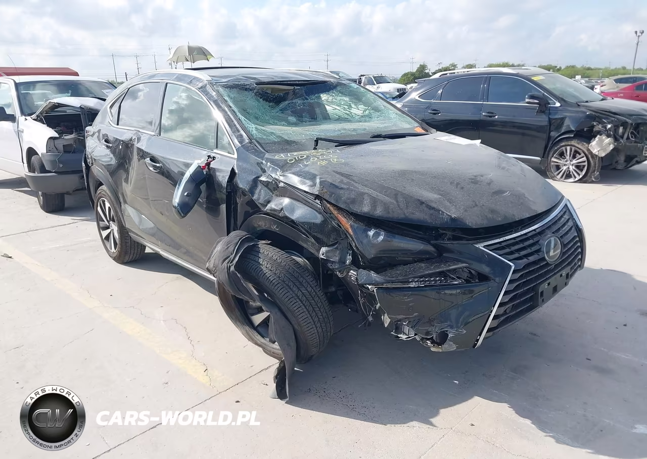 2020 Lexus Nx 300 VIN:JTJGARBZ4L2160268 - 1