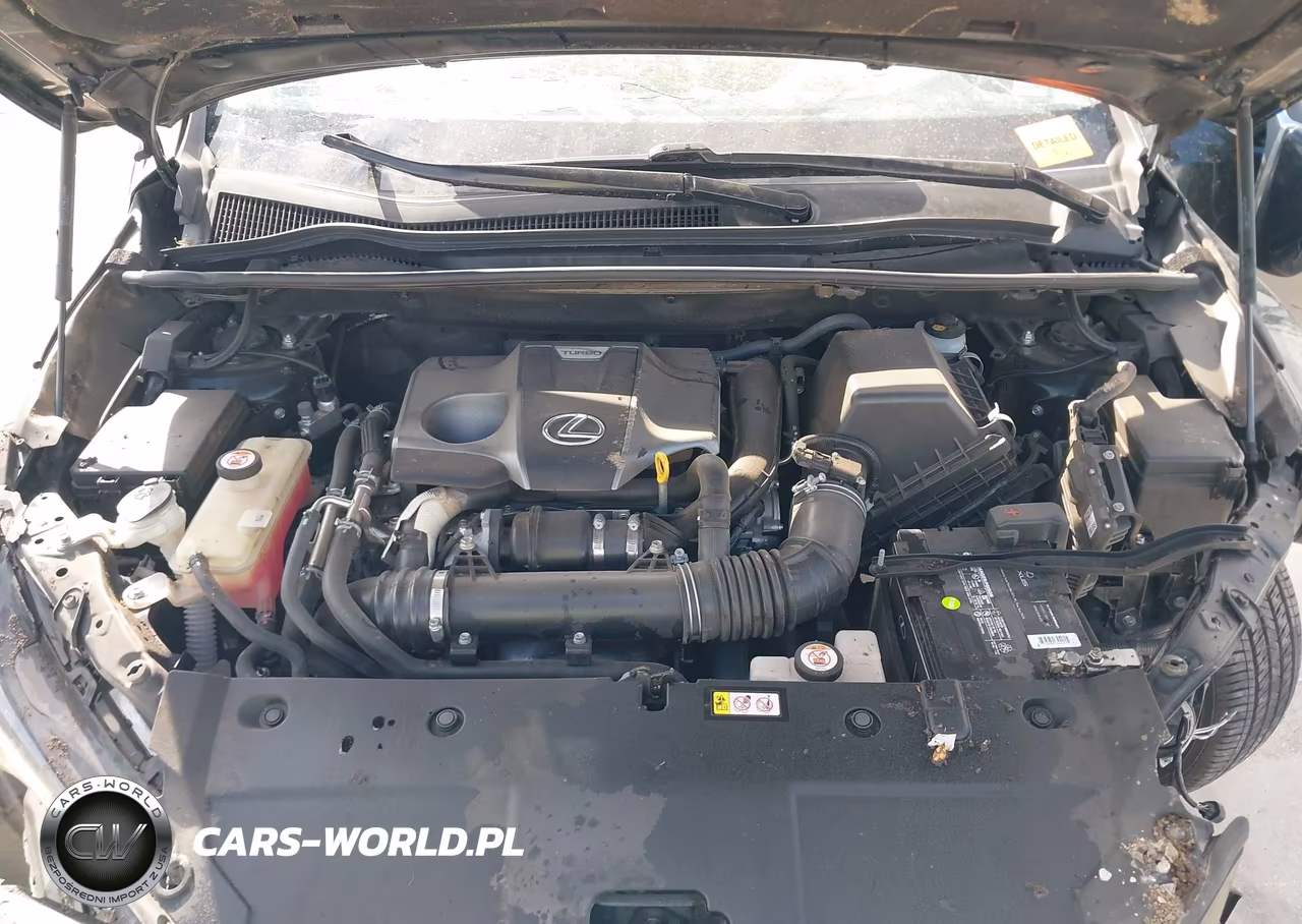 2020 Lexus Nx 300 VIN:JTJGARBZ4L2160268 - 10