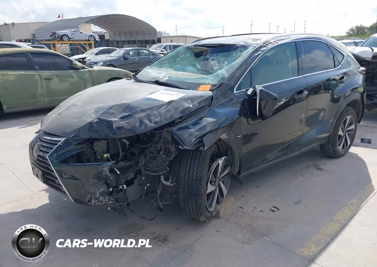 2020 Lexus Nx 300 VIN:JTJGARBZ4L2160268 - 2