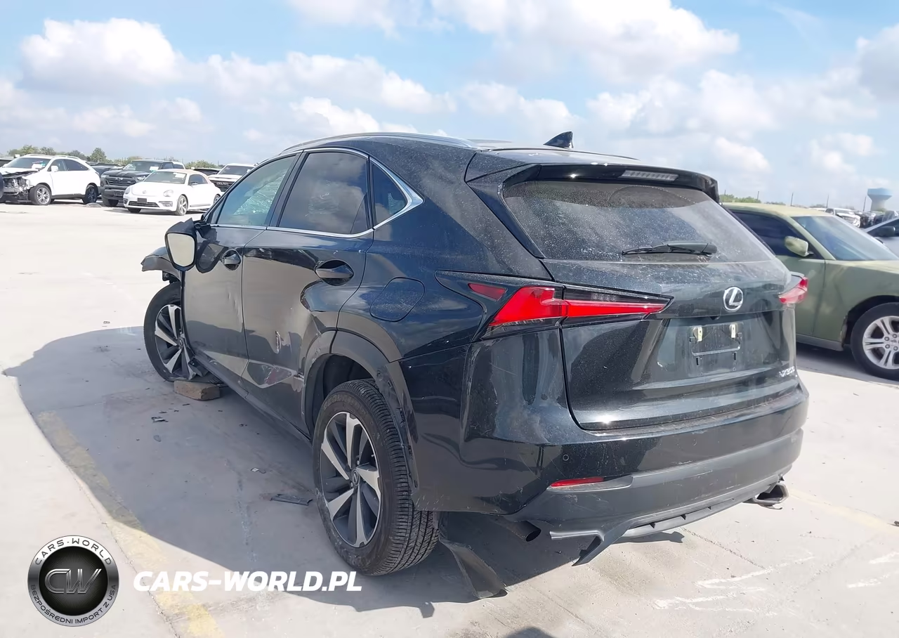 2020 Lexus Nx 300 VIN:JTJGARBZ4L2160268 - 3