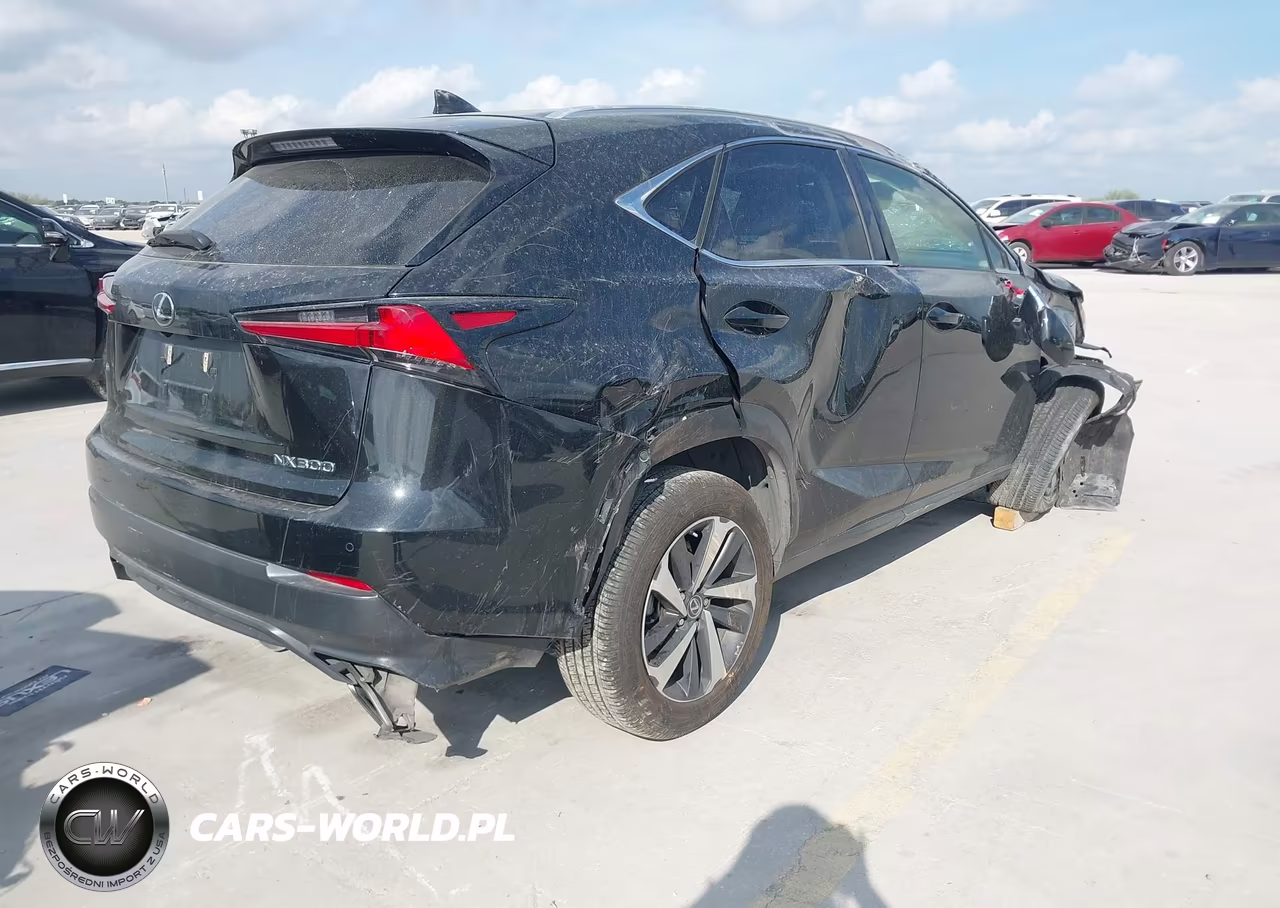 2020 Lexus Nx 300 VIN:JTJGARBZ4L2160268 - 4