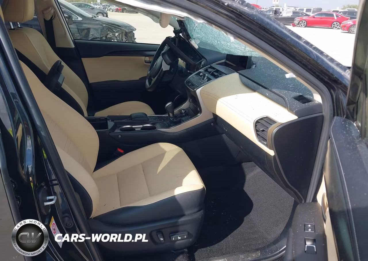 2020 Lexus Nx 300 VIN:JTJGARBZ4L2160268 - 5