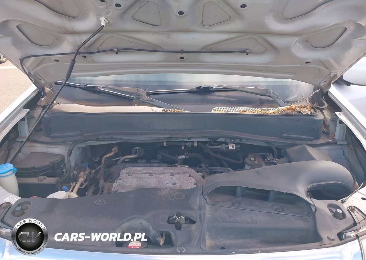 2009 Honda Pilot Ex-L VIN:5FNYF38529B000874 - 10