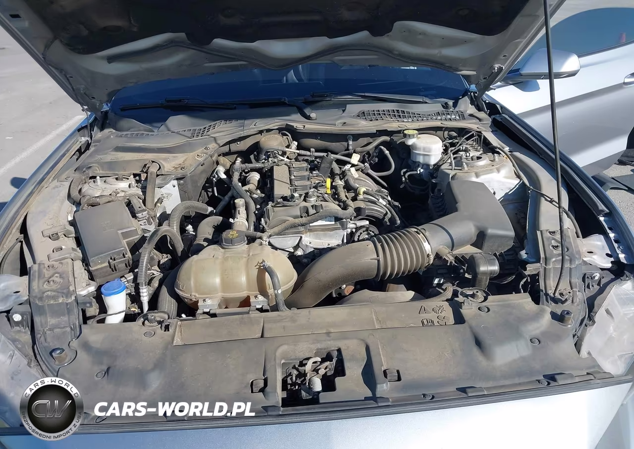 2022 Ford Mustang Ecoboost Premium Fastback VIN:1FA6P8THXN5115775 - 10