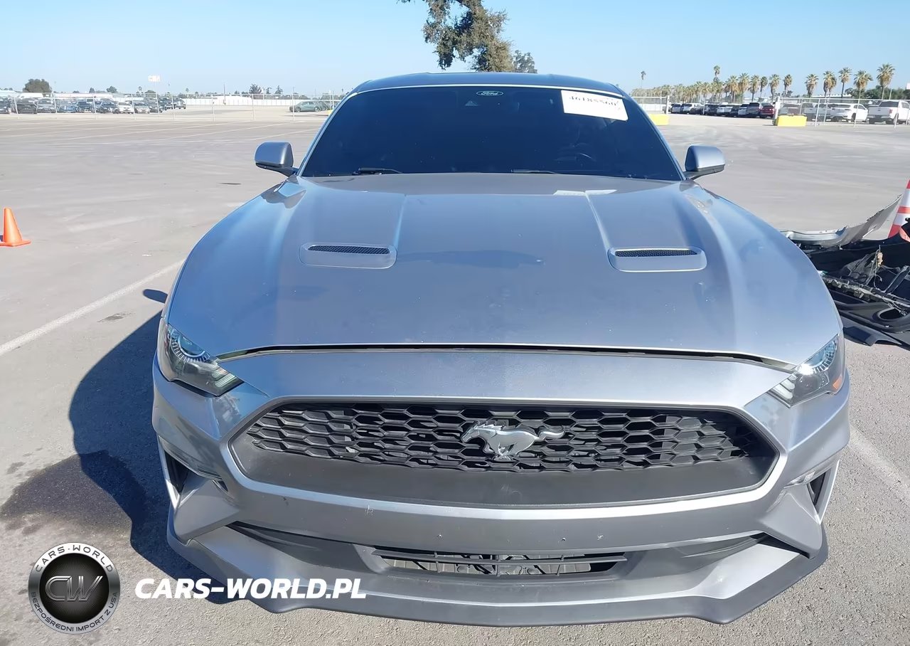 2022 Ford Mustang Ecoboost Premium Fastback VIN:1FA6P8THXN5115775 - 13