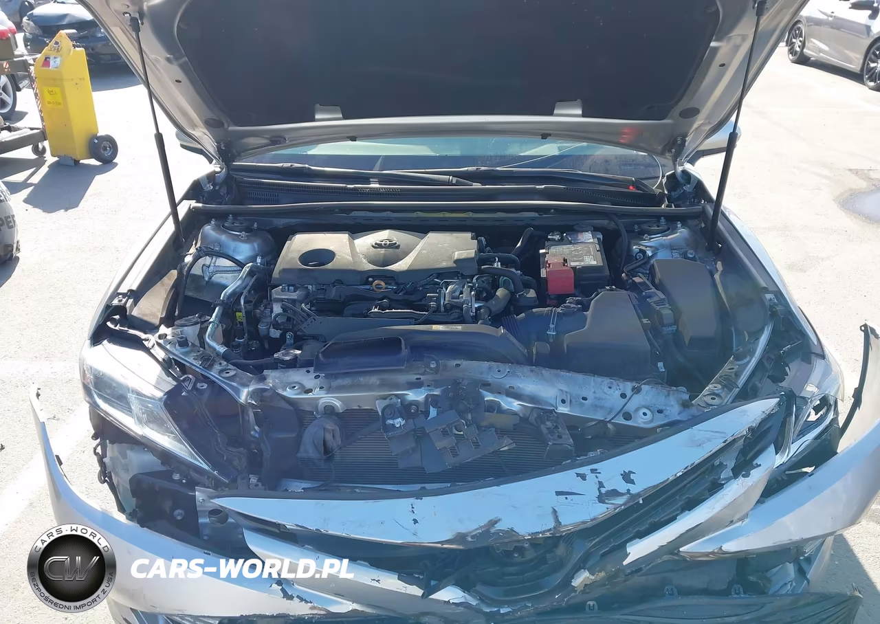 2019 Toyota Camry Le VIN:4T1B11HK0KU280687 - 10