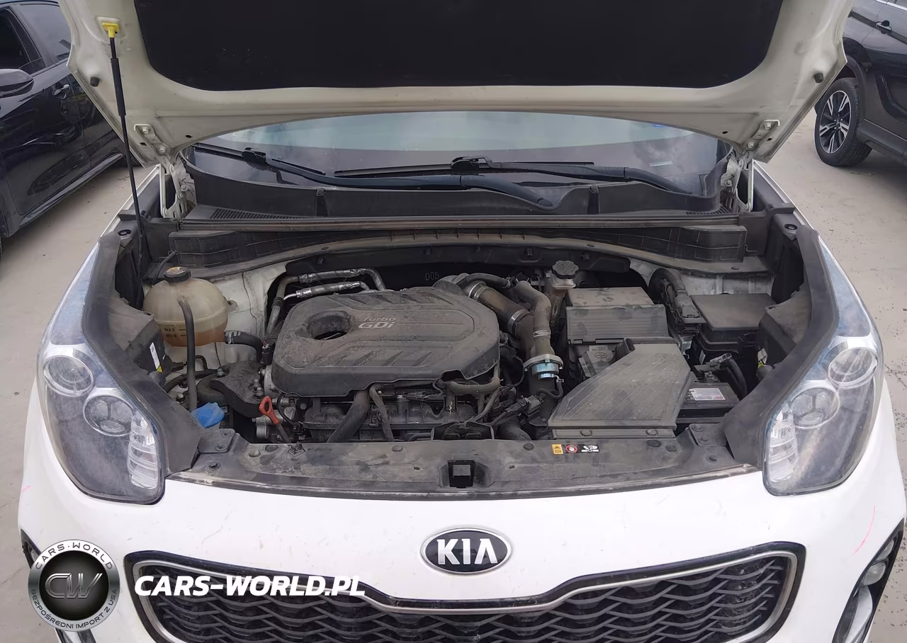 2018 Kia Sportage Sx Turbo VIN:KNDPR3A68J7417318 - 10