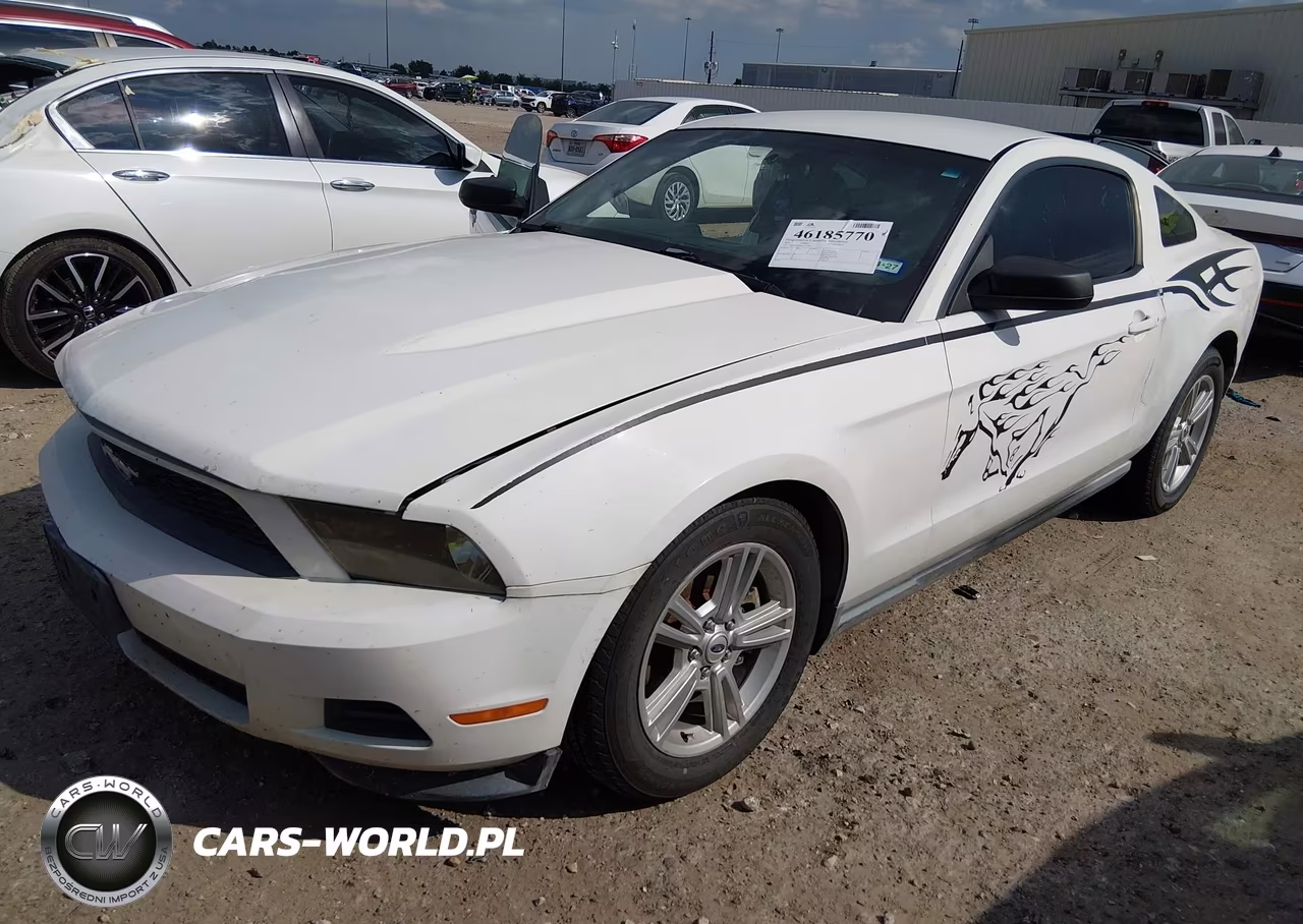 2011 Ford Mustang V6 VIN:1ZVBP8AM8B5151787 - 2
