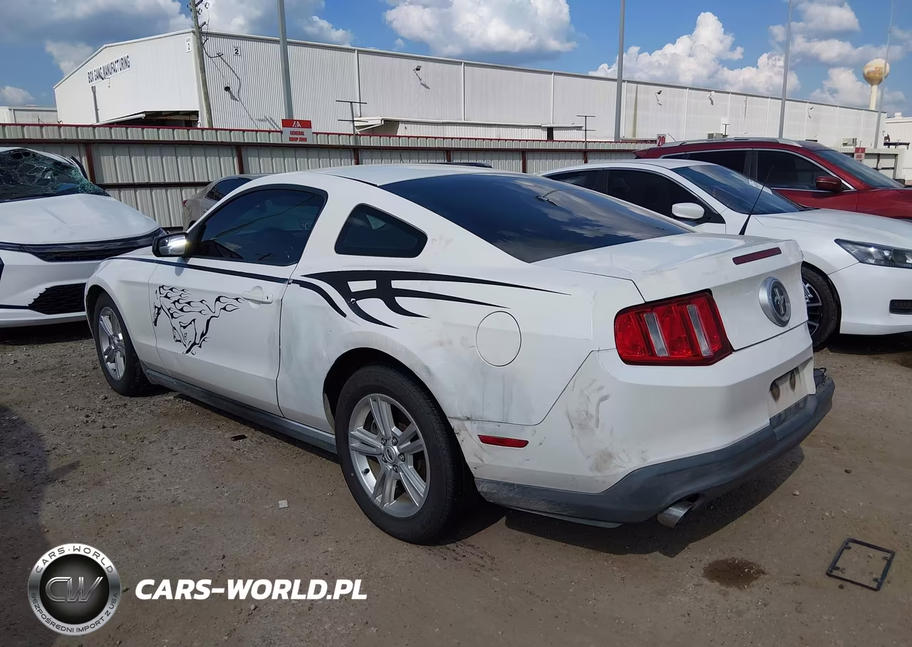 2011 Ford Mustang V6 VIN:1ZVBP8AM8B5151787 - 3