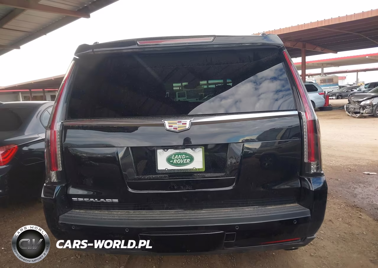 2020 Cadillac Escalade 4Wd Luxury VIN:1GYS4BKJ3LR248171 - 16