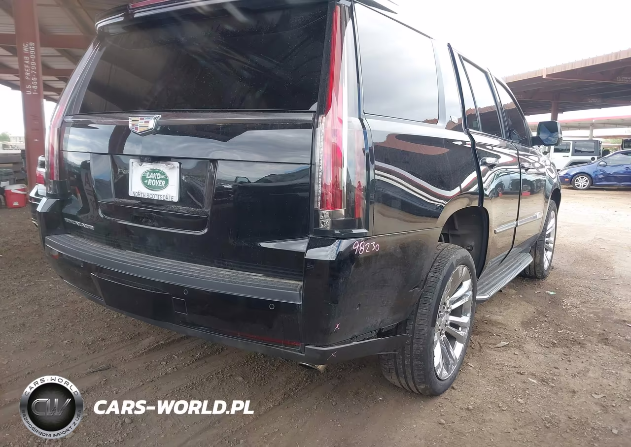2020 Cadillac Escalade 4Wd Luxury VIN:1GYS4BKJ3LR248171 - 4