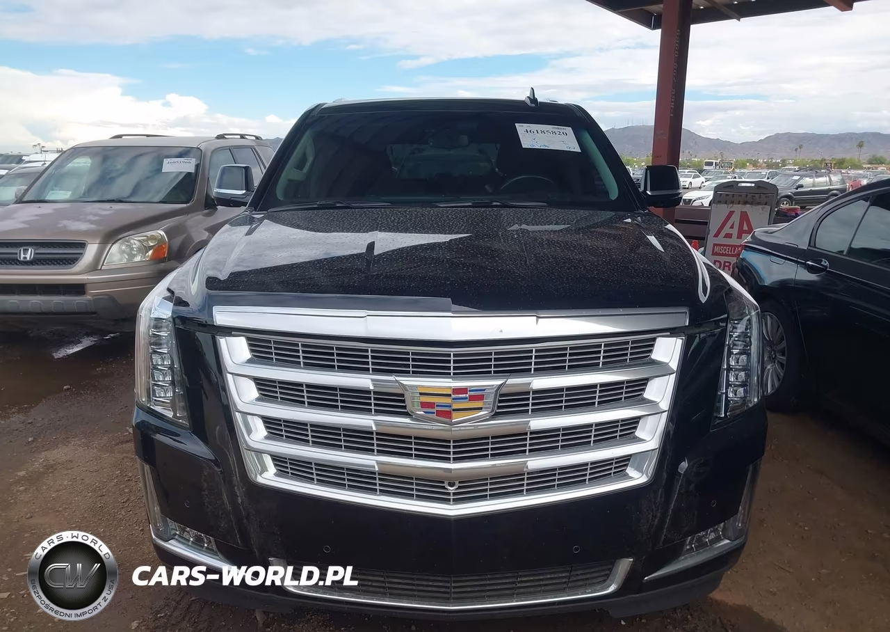 2020 Cadillac Escalade 4Wd Luxury VIN:1GYS4BKJ3LR248171 - 6