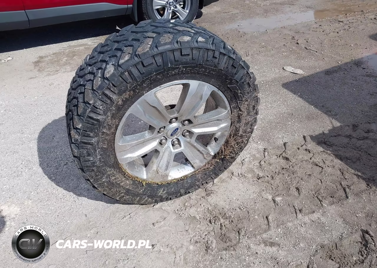 2019 Ford F-150 Platinum VIN:1FTEW1E48KFC14451 - 12