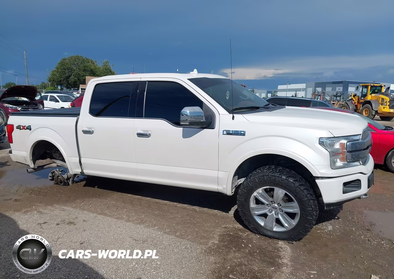 2019 Ford F-150 Platinum VIN:1FTEW1E48KFC14451 - 14