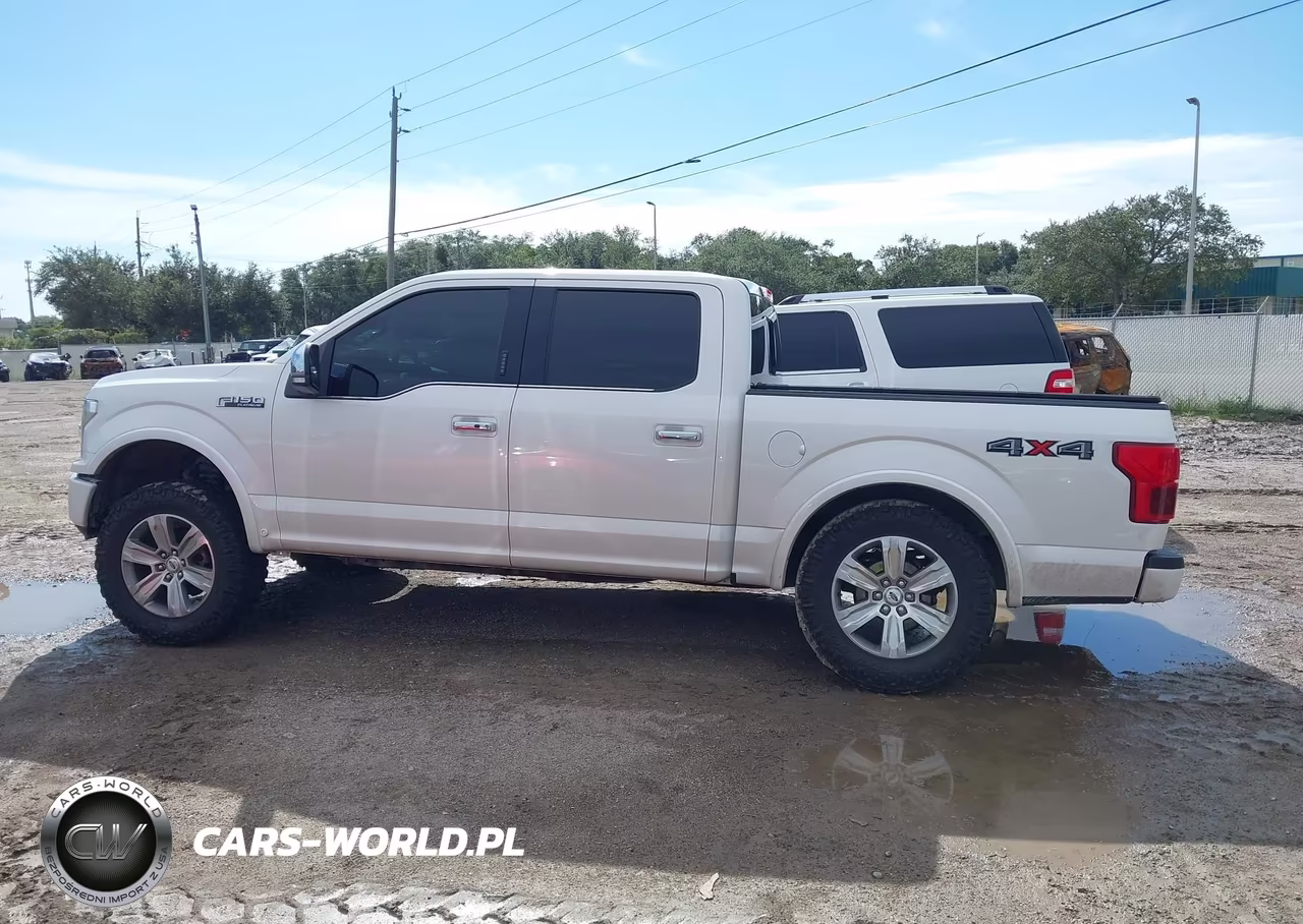 2019 Ford F-150 Platinum VIN:1FTEW1E48KFC14451 - 15