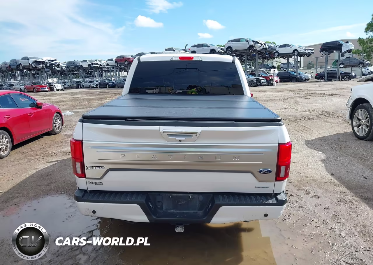 2019 Ford F-150 Platinum VIN:1FTEW1E48KFC14451 - 17