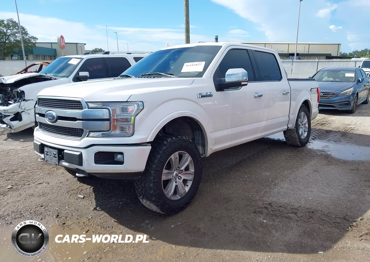 2019 Ford F-150 Platinum VIN:1FTEW1E48KFC14451 - 2