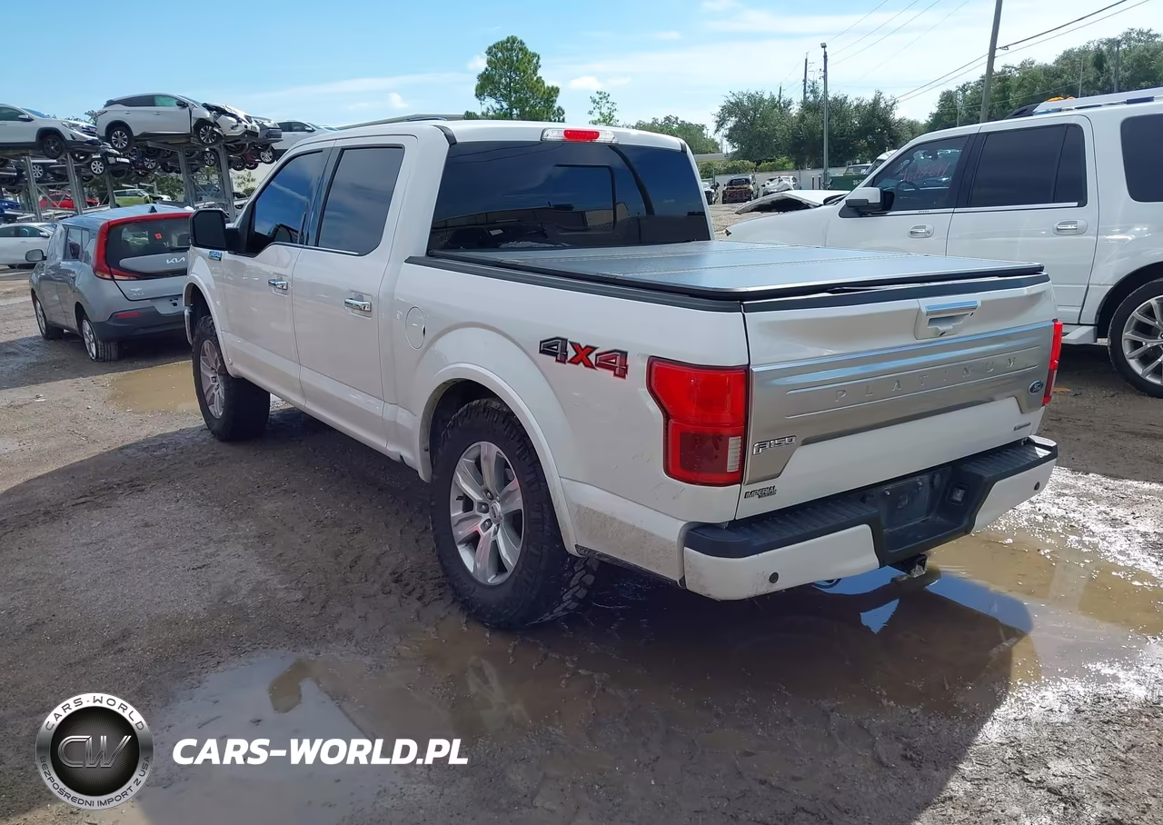 2019 Ford F-150 Platinum VIN:1FTEW1E48KFC14451 - 3