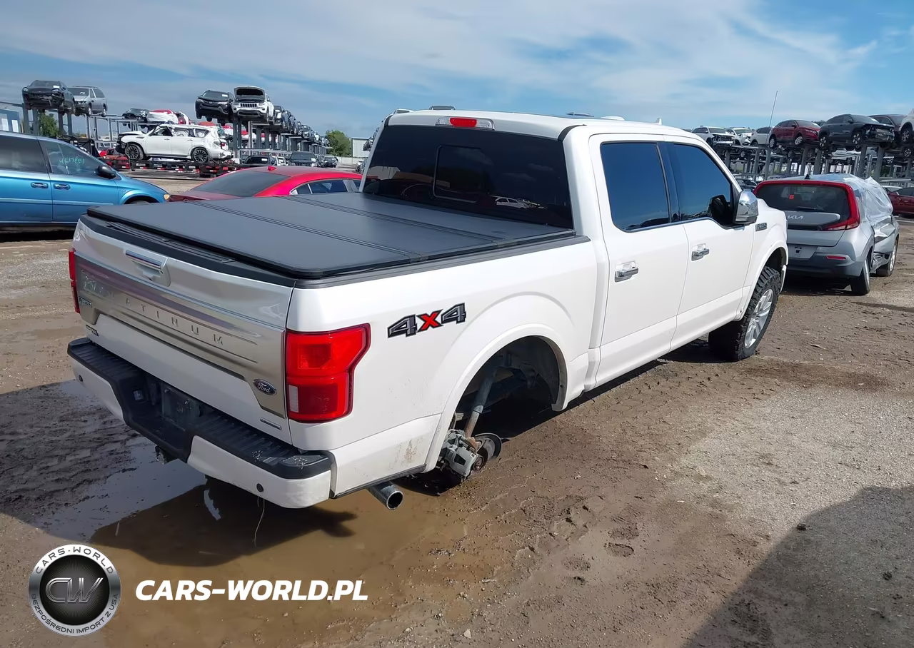 2019 Ford F-150 Platinum VIN:1FTEW1E48KFC14451 - 4