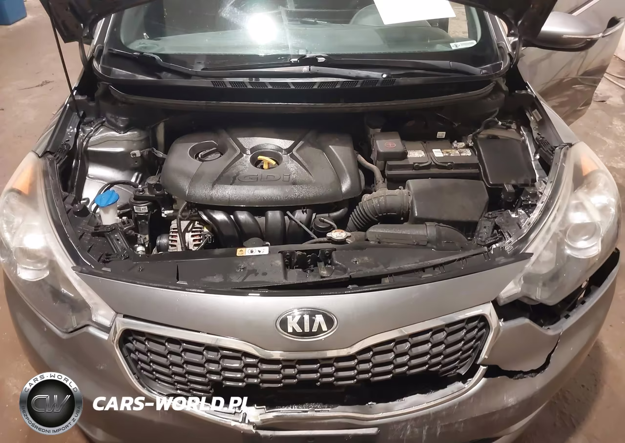 2015 Kia Forte Ex VIN:KNAFX5A8XF5324055 - 10