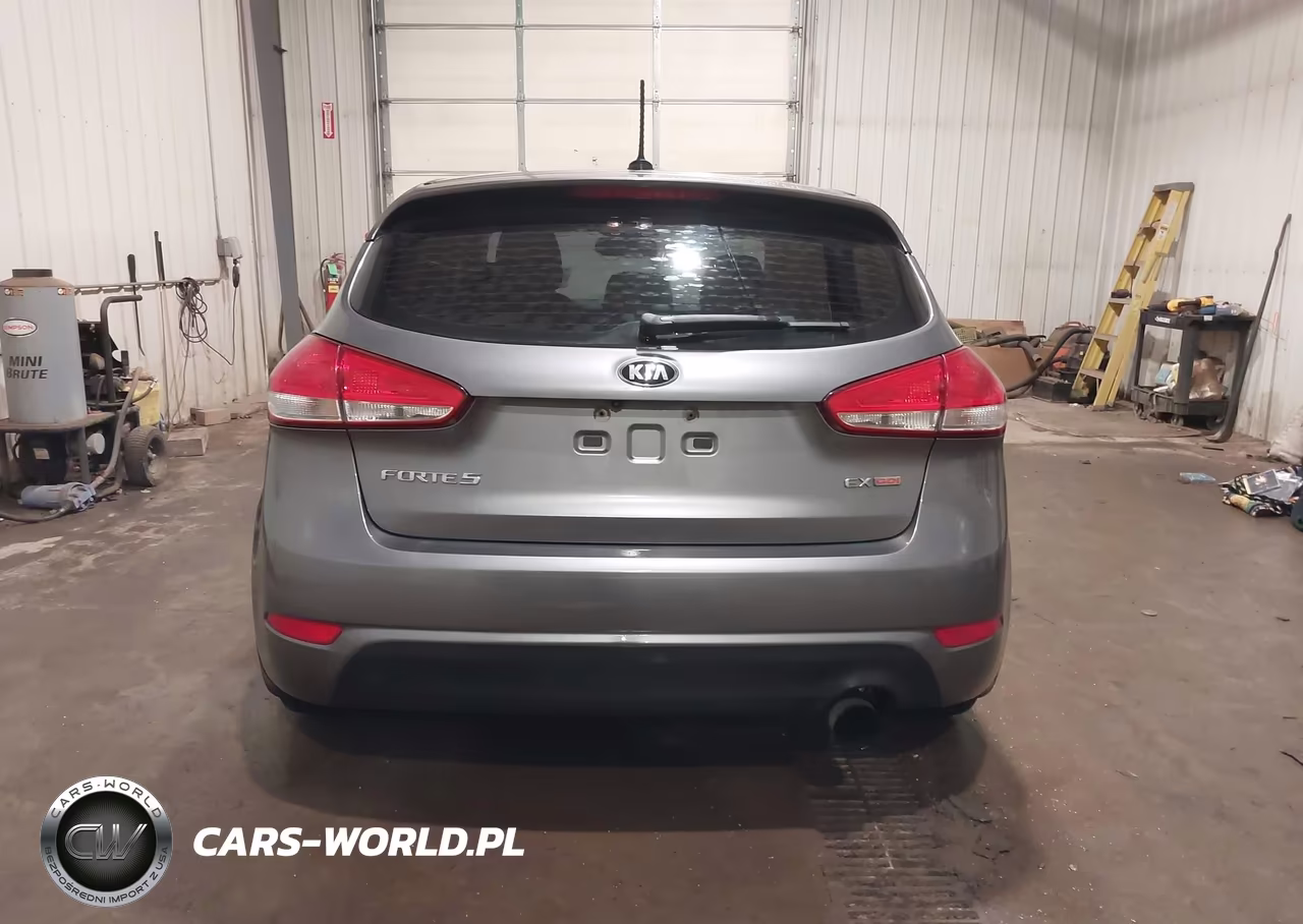 2015 Kia Forte Ex VIN:KNAFX5A8XF5324055 - 16
