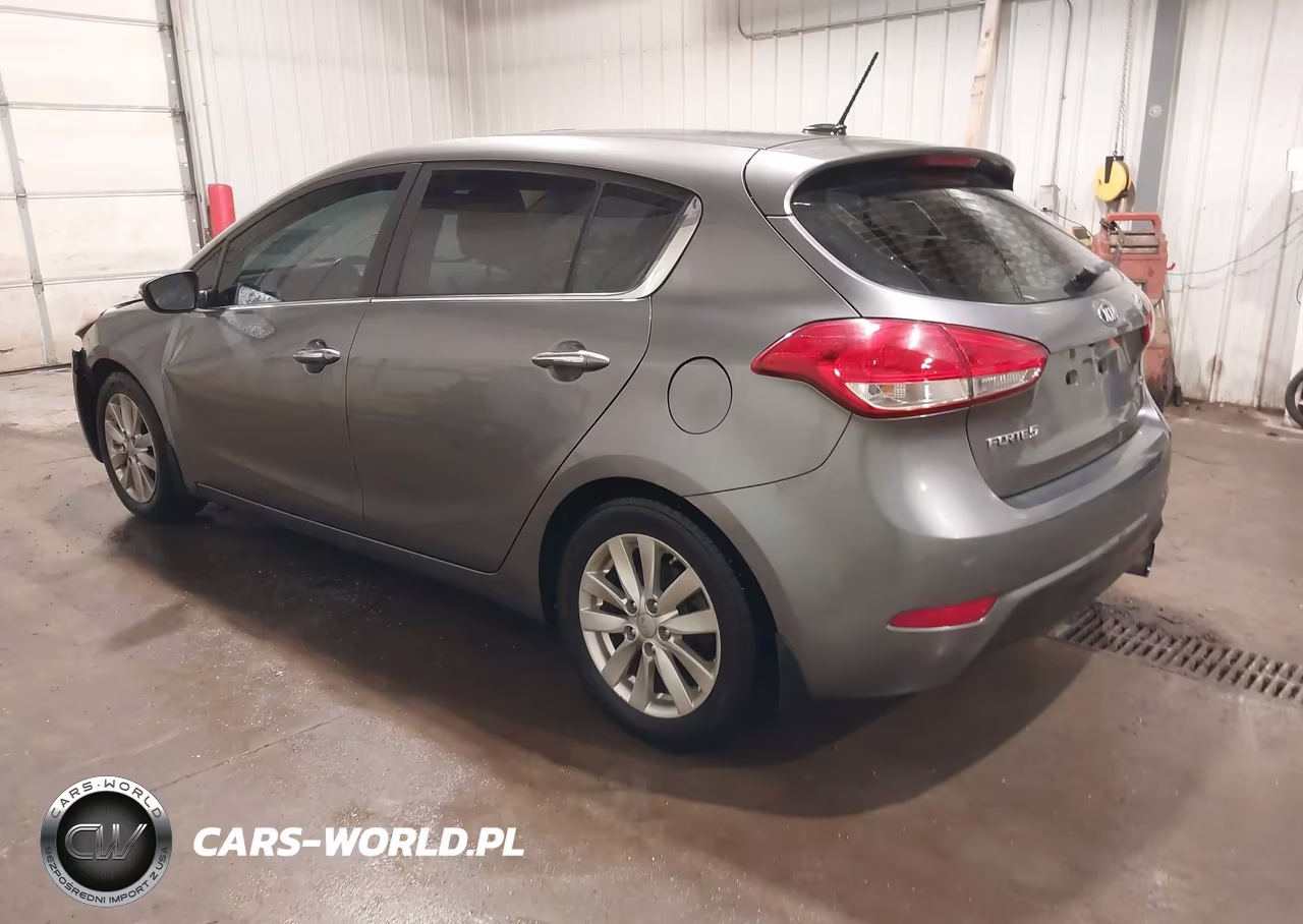 2015 Kia Forte Ex VIN:KNAFX5A8XF5324055 - 3