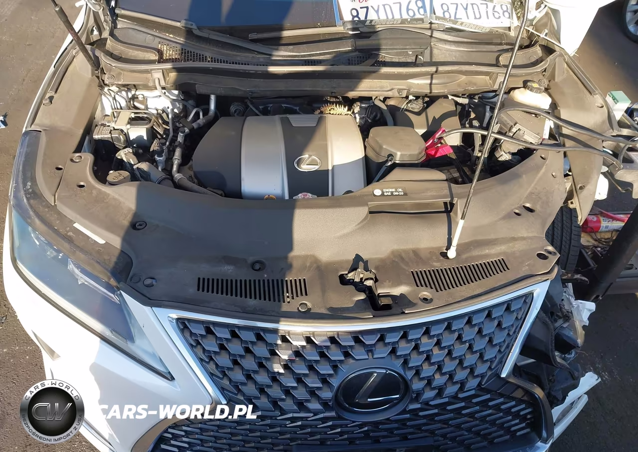 2022 Lexus Rx 350 VIN:2T2HZMAA3NC232060 - 10