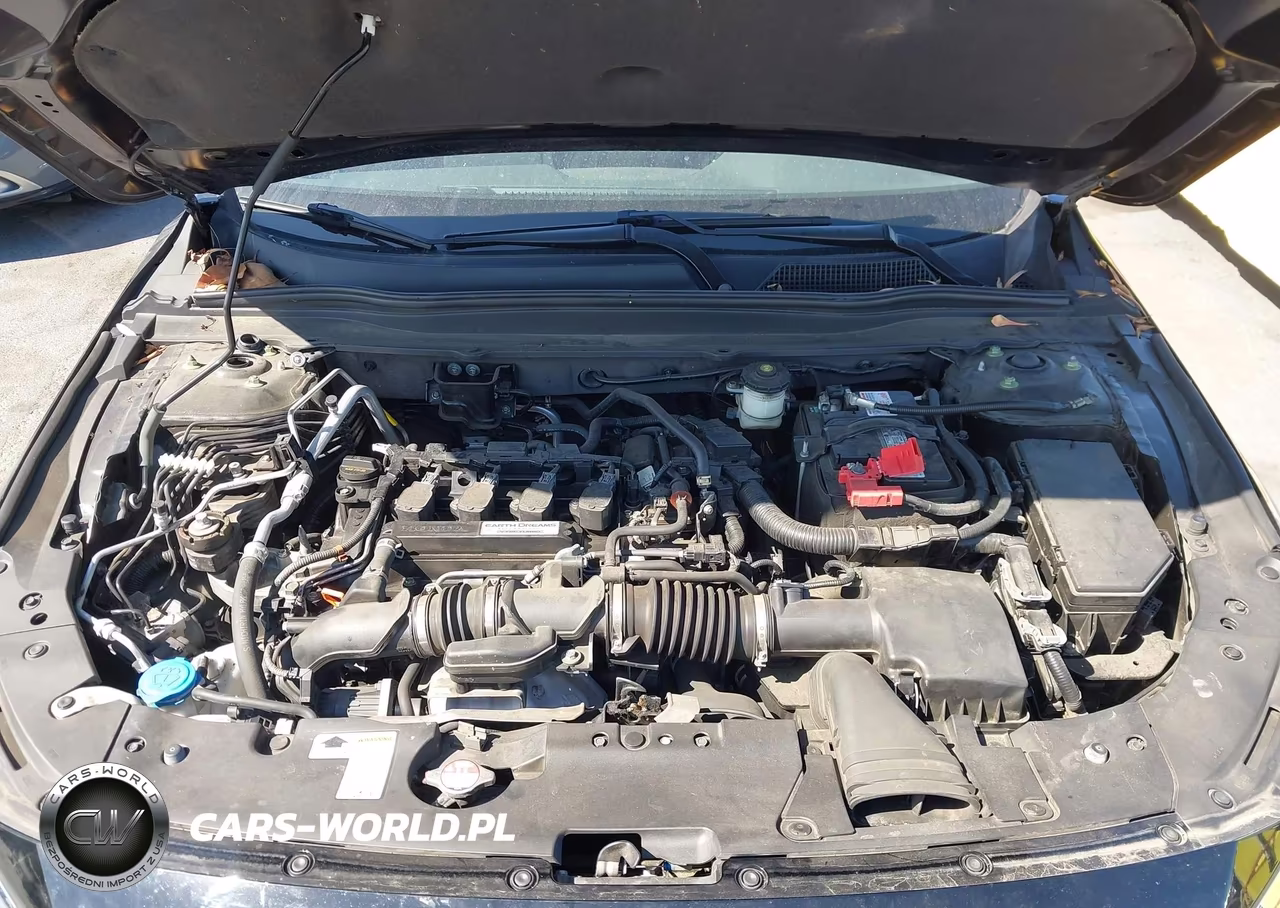 2019 Honda Accord Lx VIN:1HGCV1F18KA087598 - 10