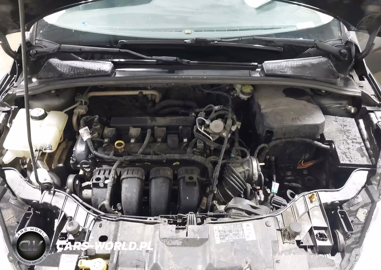 2016 Ford Focus Se VIN:1FADP3F20GL386893 - 10
