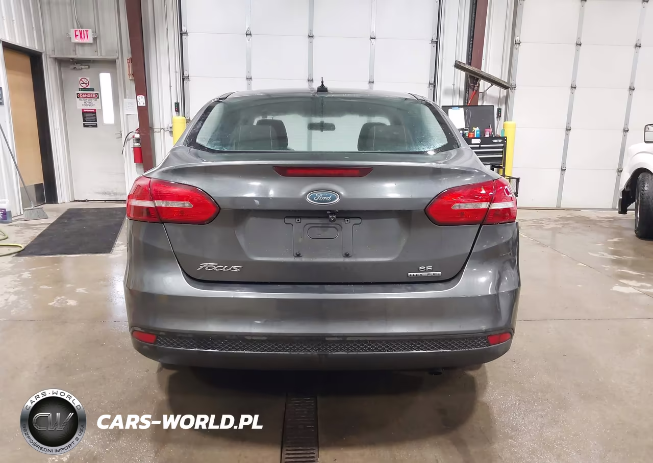 2016 Ford Focus Se VIN:1FADP3F20GL386893 - 17