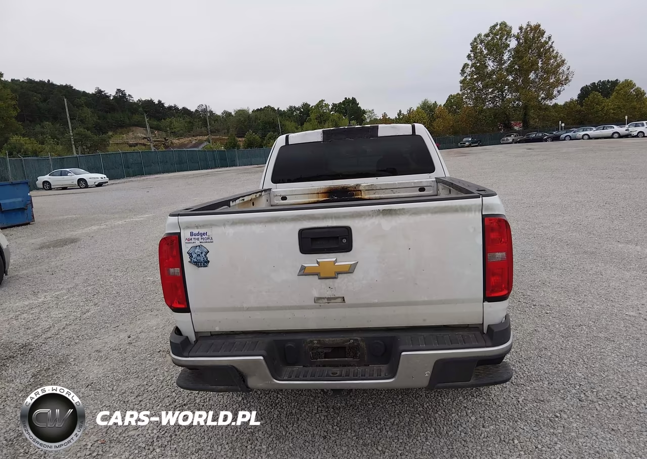 2018 Chevrolet Colorado Wt VIN:1GCHSBEA7J1226297 - 16