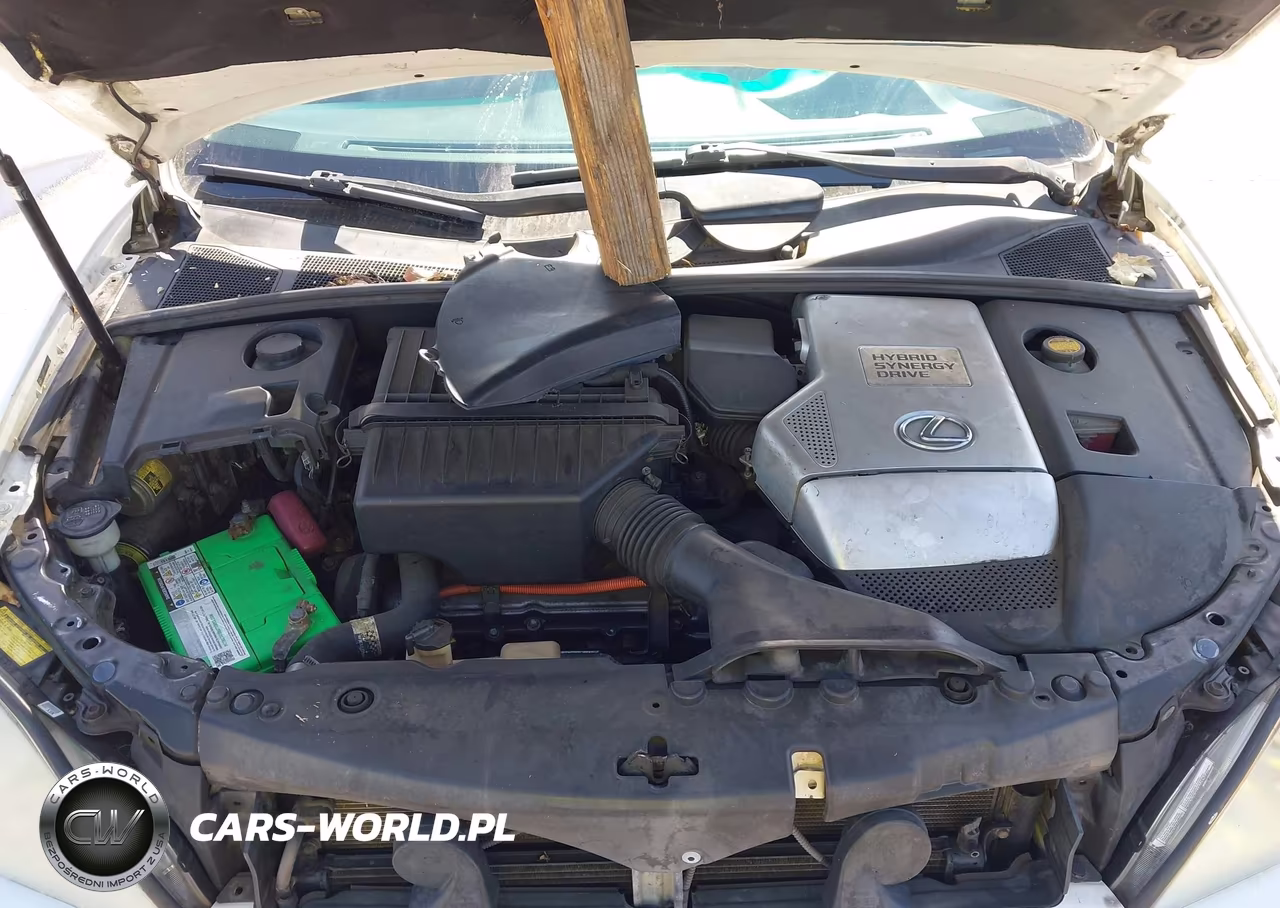2006 Lexus Rx 400H VIN:JTJHW31U860022404 - 10