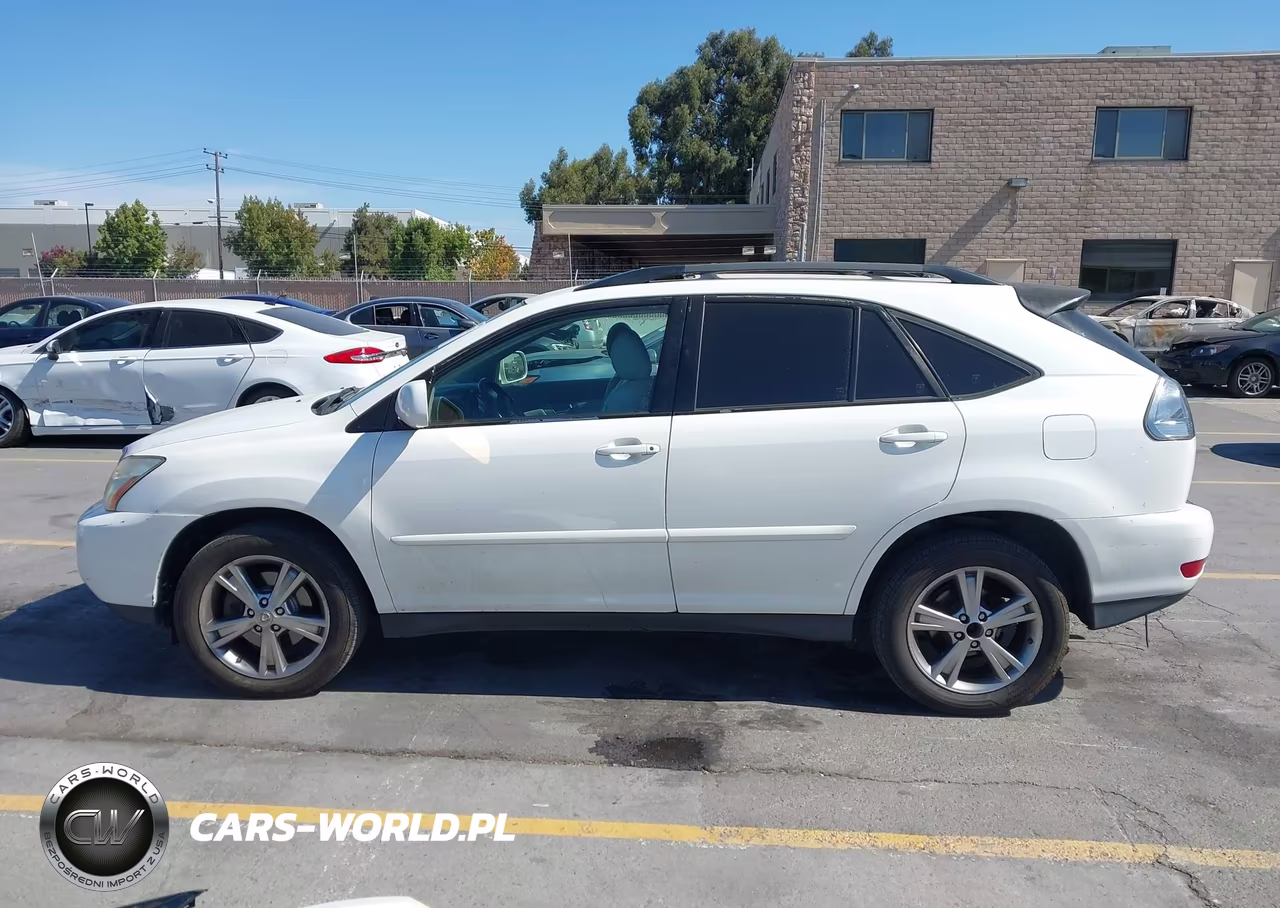 2006 Lexus Rx 400H VIN:JTJHW31U860022404 - 14