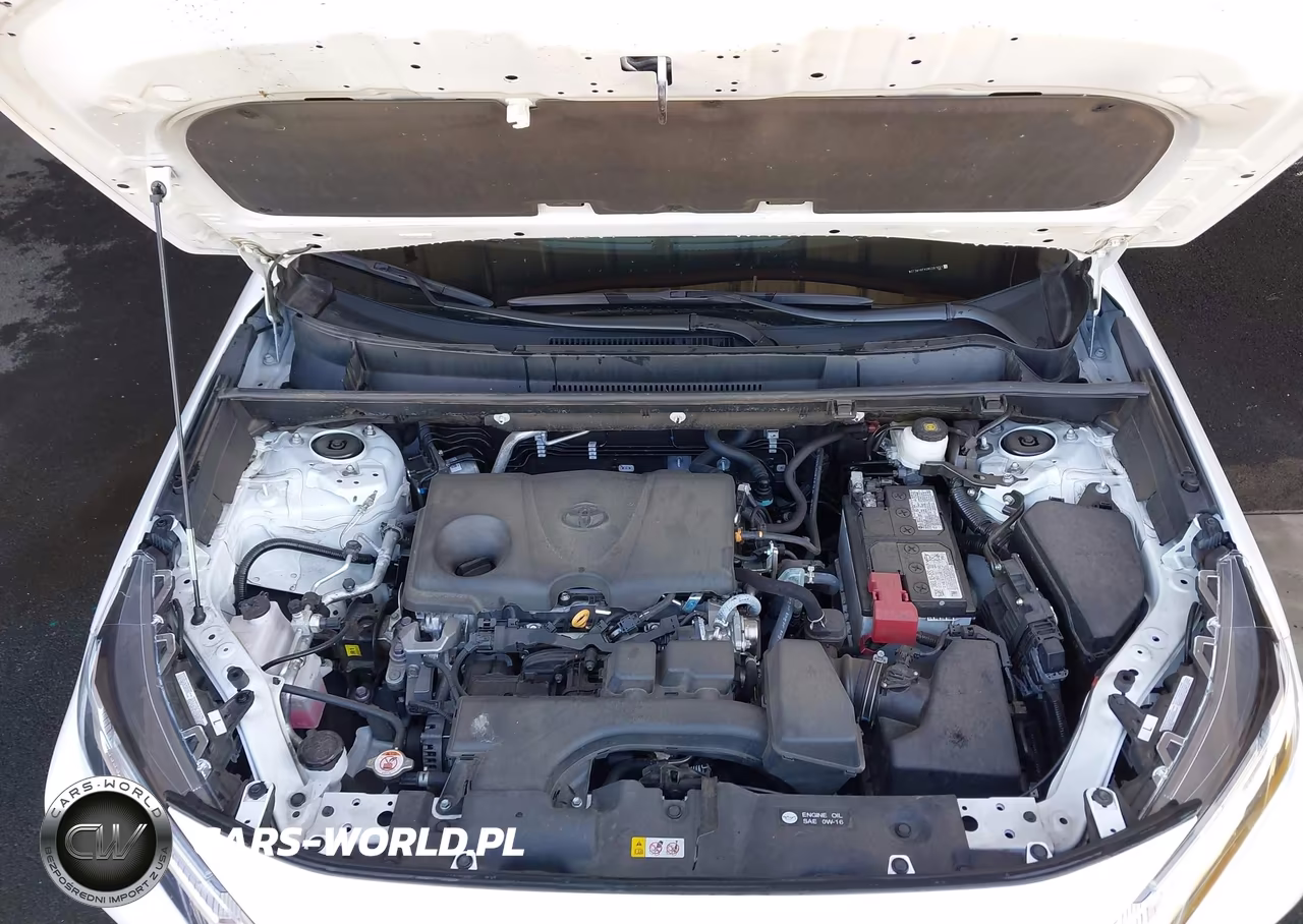2024 Toyota Rav4 Xle VIN:2T3W1RFV2RC281601 - 10