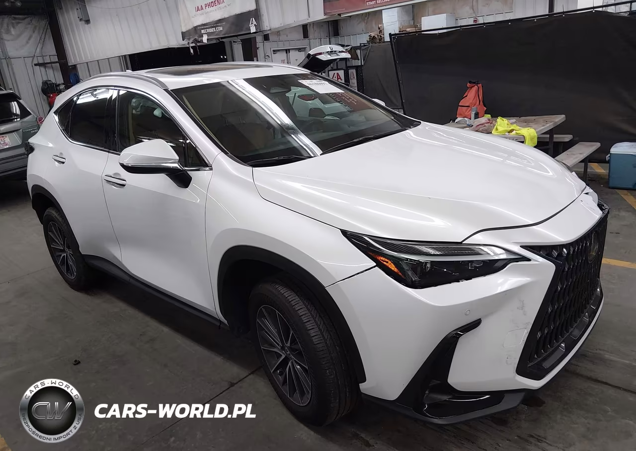 2025 Lexus Nx 250 VIN:2T2ADCAZ2SC028331 - 1