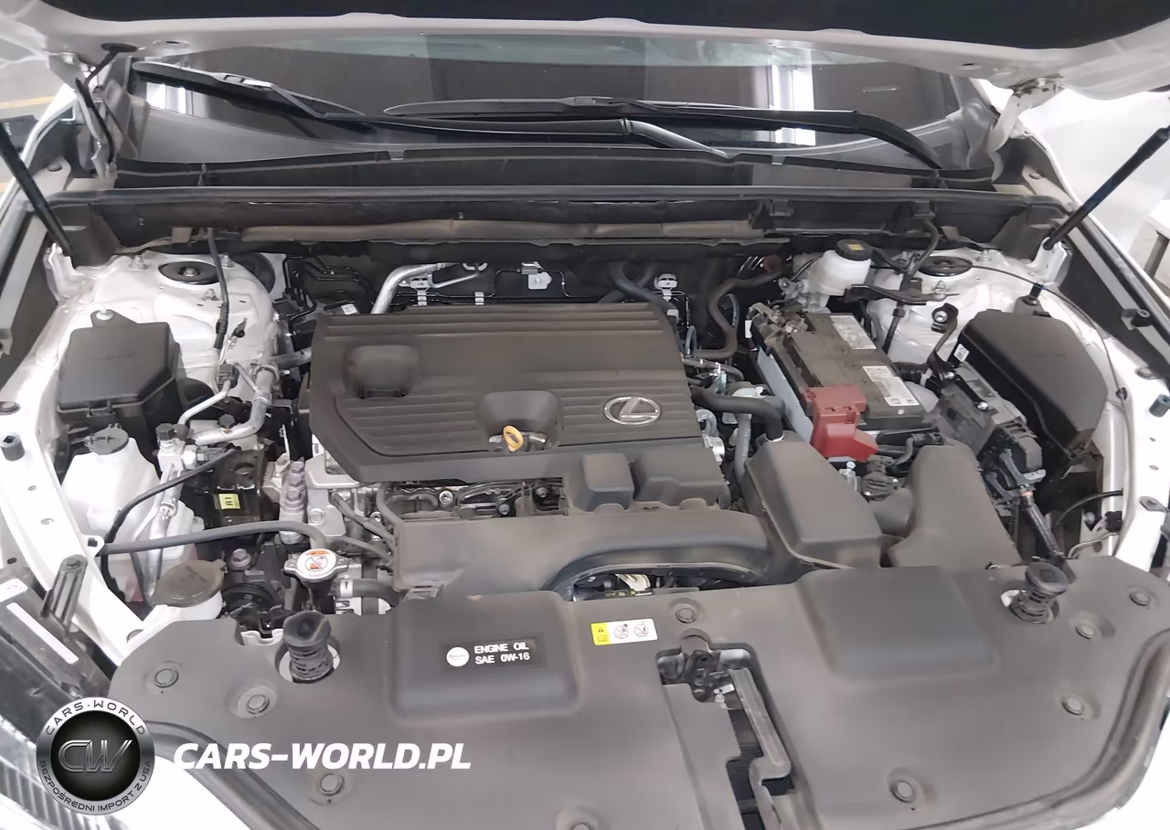 2025 Lexus Nx 250 VIN:2T2ADCAZ2SC028331 - 10