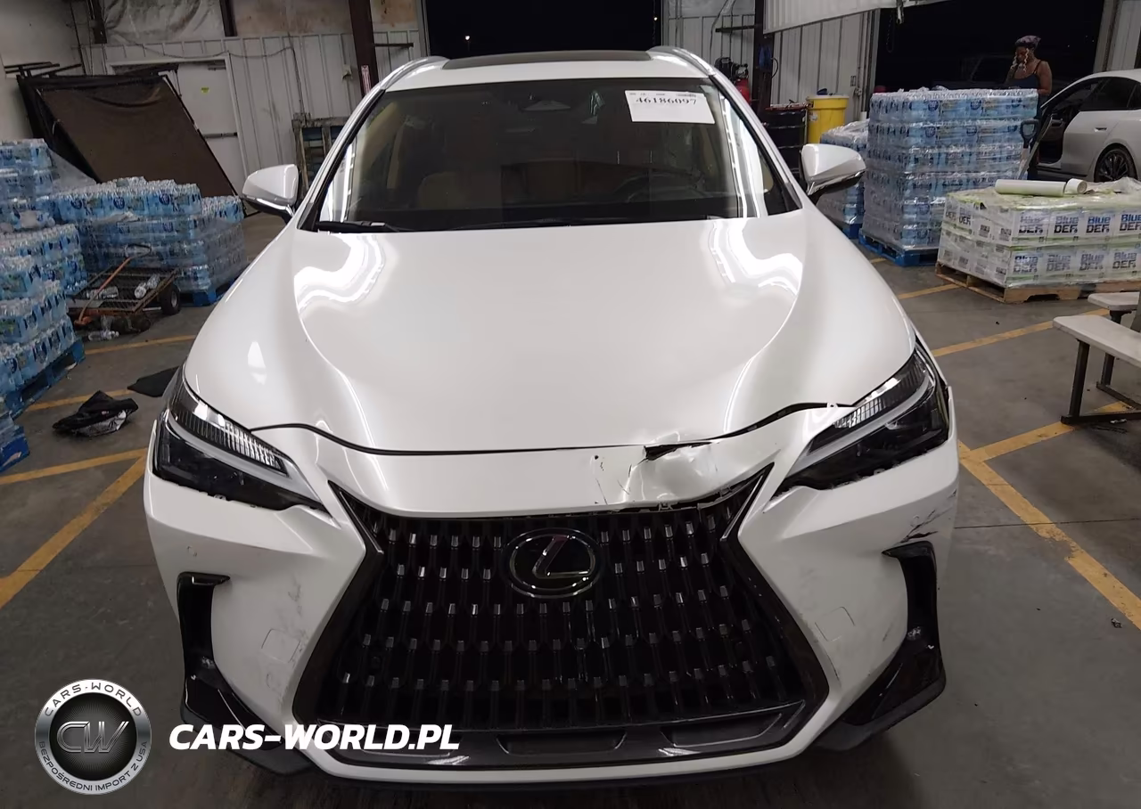 2025 Lexus Nx 250 VIN:2T2ADCAZ2SC028331 - 11