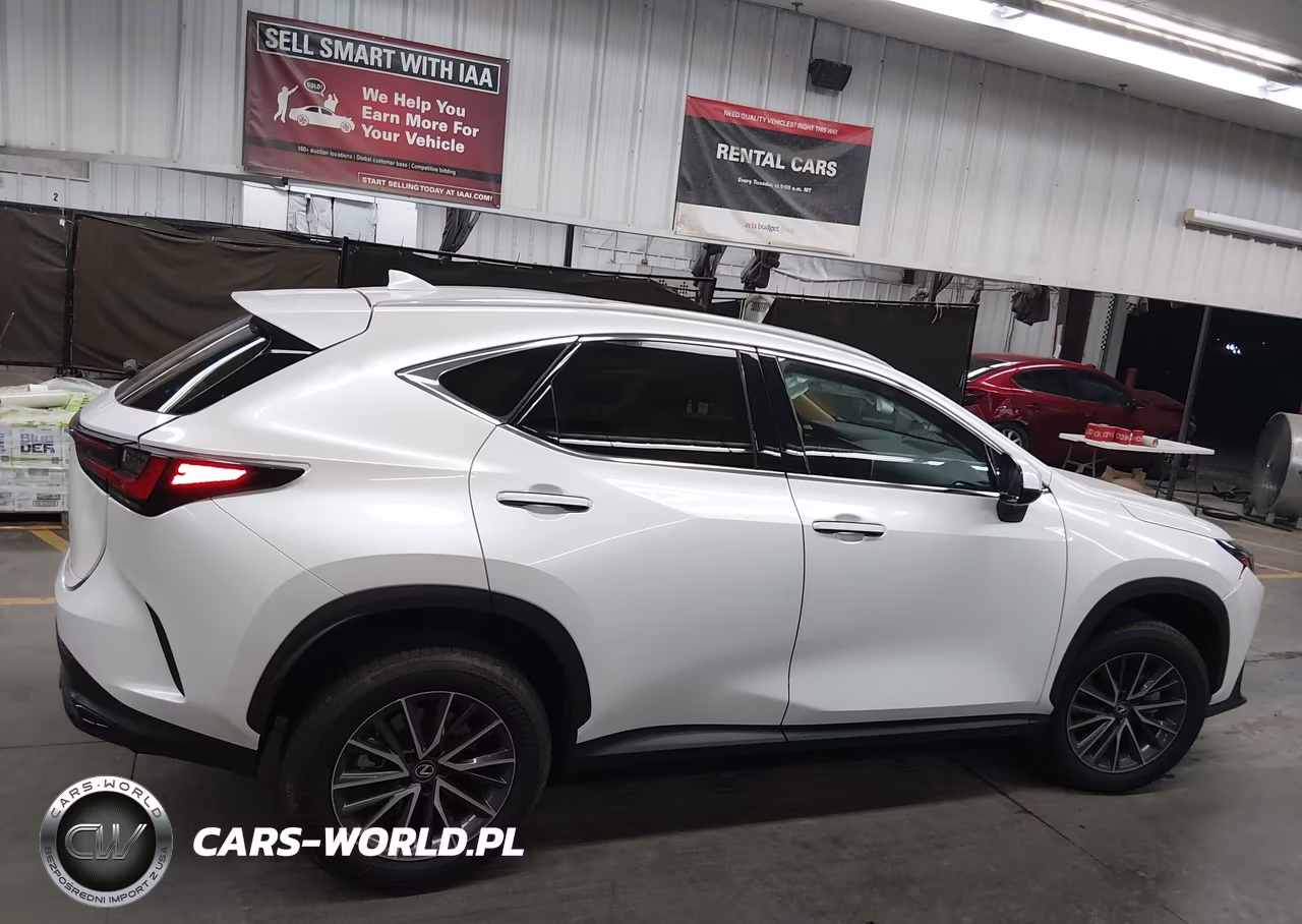 2025 Lexus Nx 250 VIN:2T2ADCAZ2SC028331 - 12