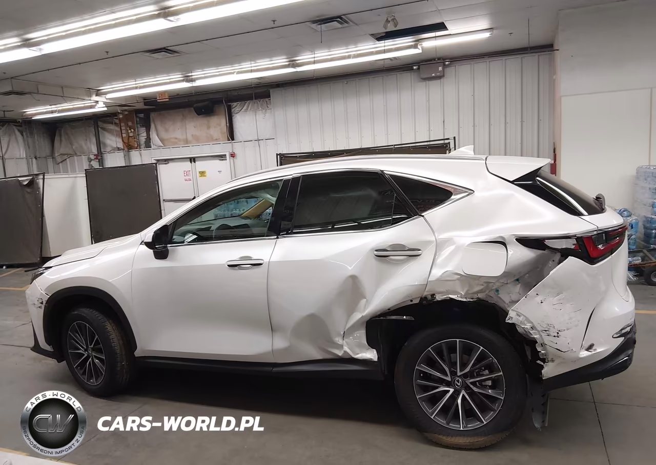 2025 Lexus Nx 250 VIN:2T2ADCAZ2SC028331 - 13