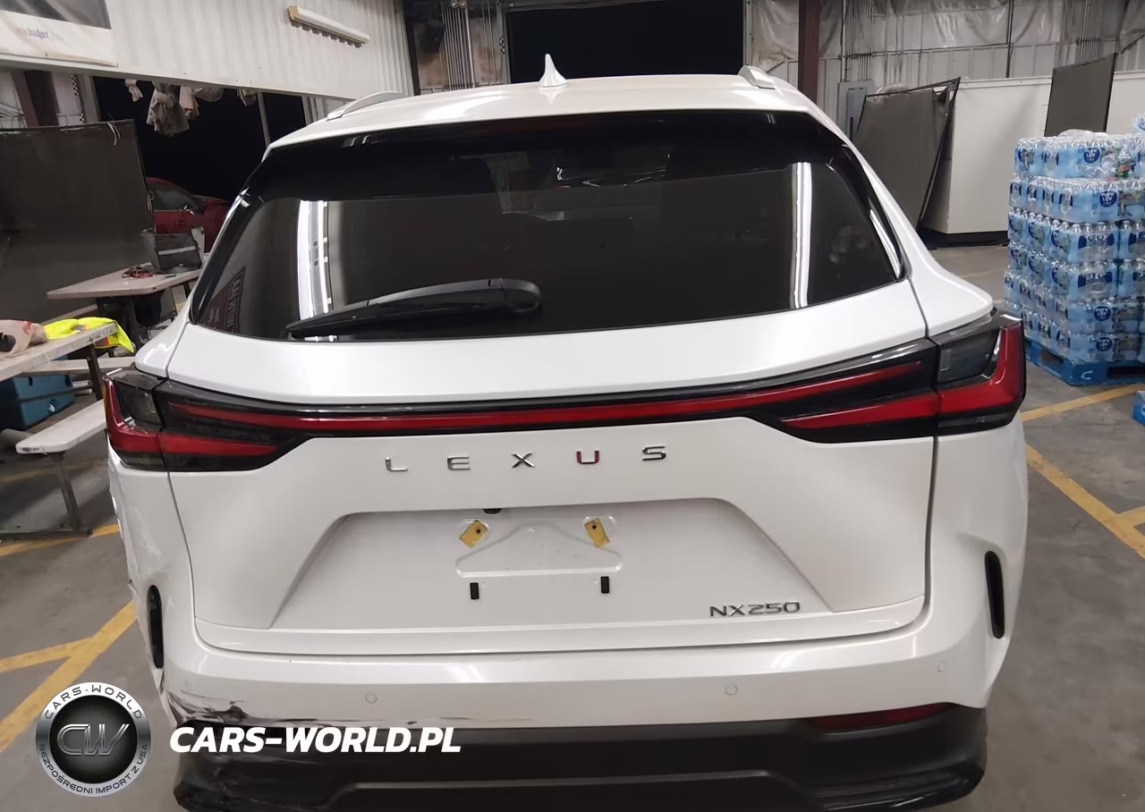 2025 Lexus Nx 250 VIN:2T2ADCAZ2SC028331 - 15