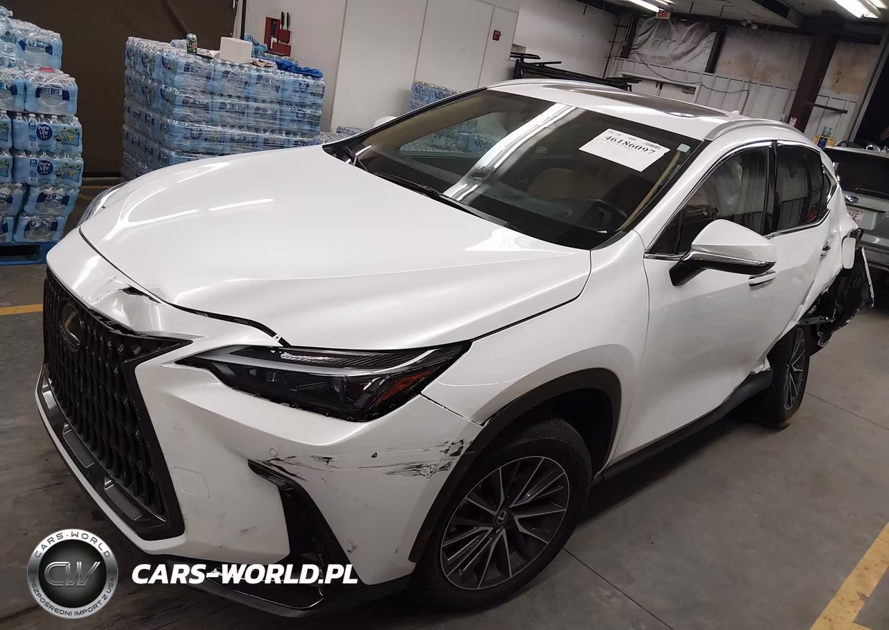 2025 Lexus Nx 250 VIN:2T2ADCAZ2SC028331 - 2