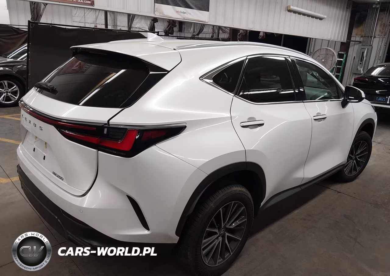 2025 Lexus Nx 250 VIN:2T2ADCAZ2SC028331 - 4