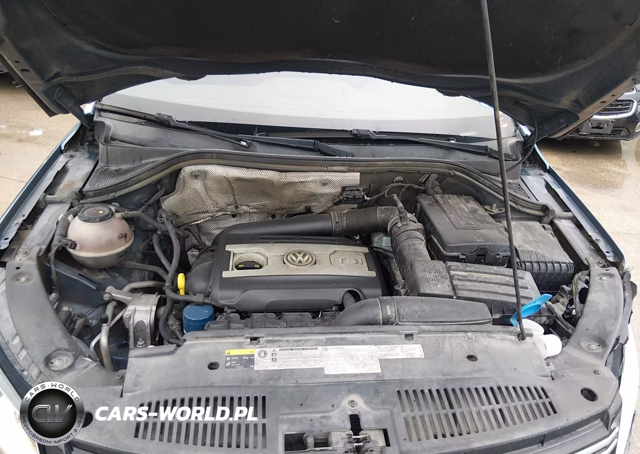 2017 Volkswagen Tiguan 2.0T-2.0T S VIN:WVGAV7AX5HK043173 - 10